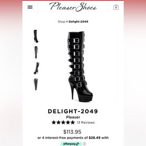 Pleaser Buckle boots